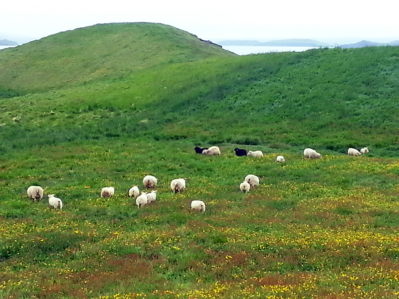 Naturparadies Myvatn