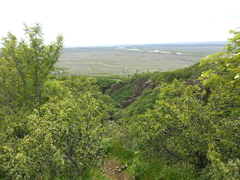 Mineraliensammlung in Djúpivogur