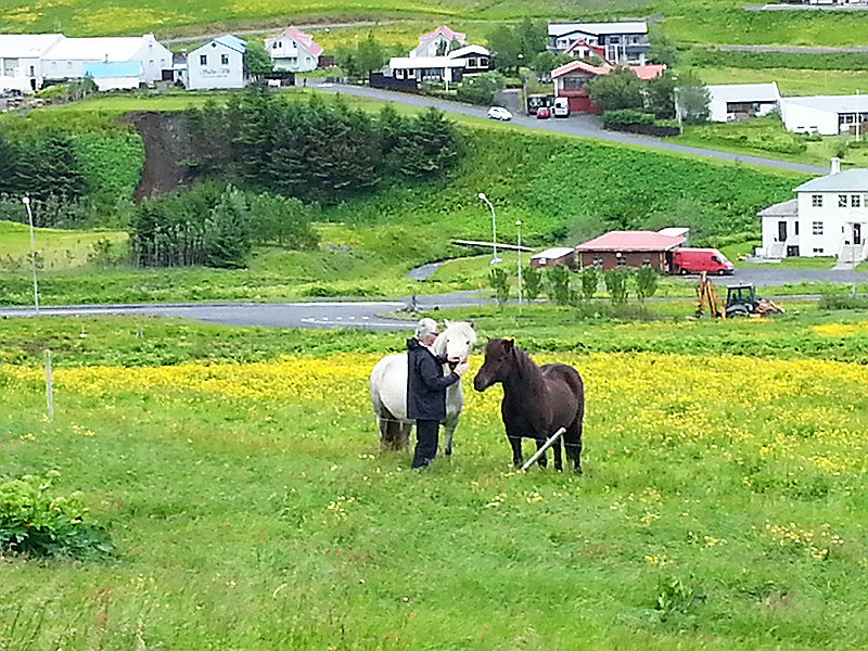 Mineraliensammlung in Djúpivogur