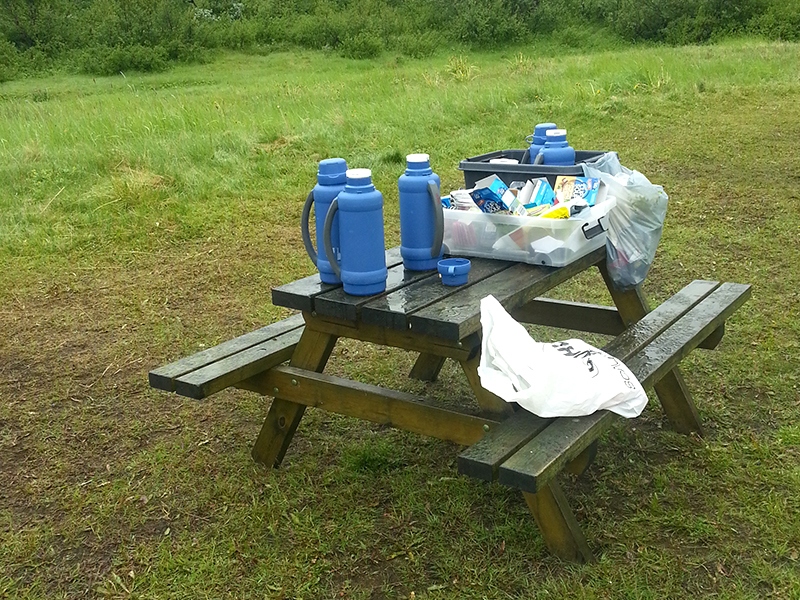 Picknickpause in isländischer Natur