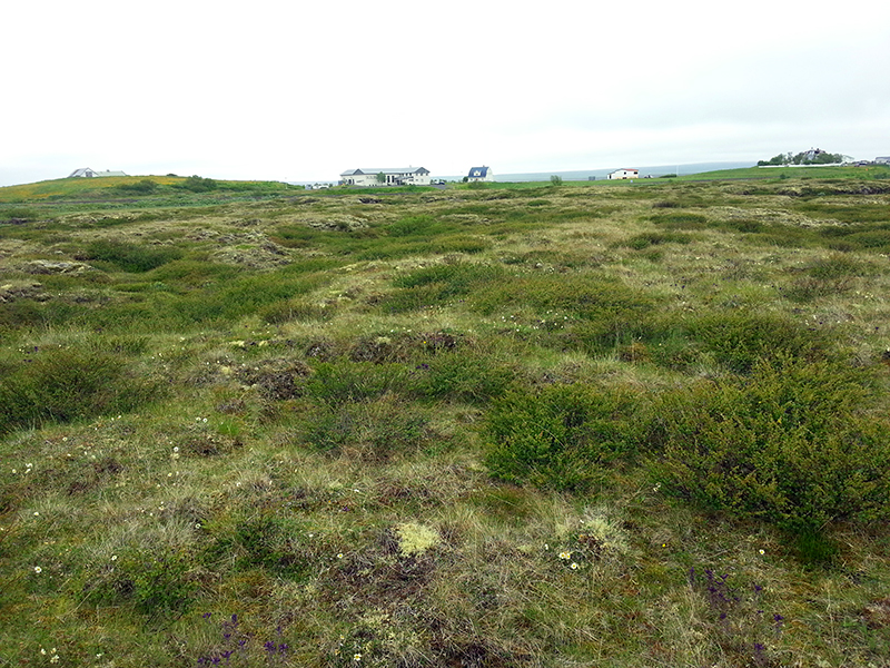 Naturparadies Myvatn