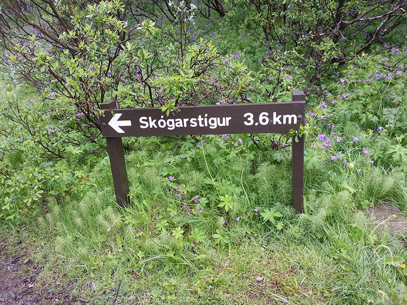 Naturparadies Myvatn