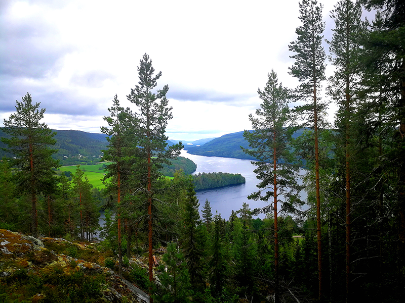 Blick auf den Indalsälven