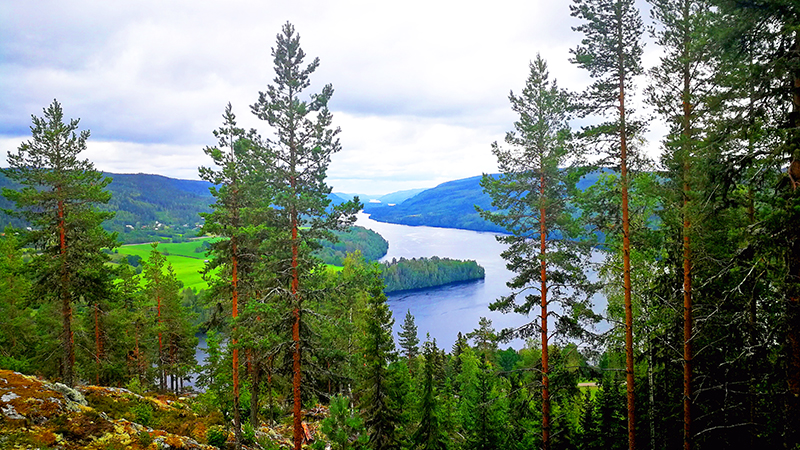 Inlandsaelven Inlandsaelven