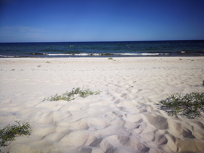 Pingvellir Nationalpark