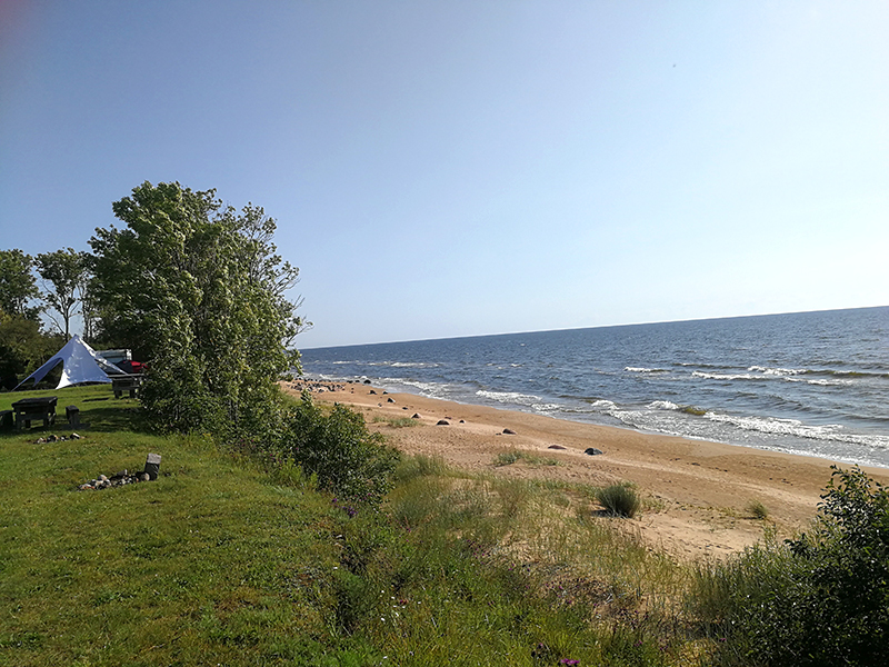 Tuja Strand am Golf von Riga