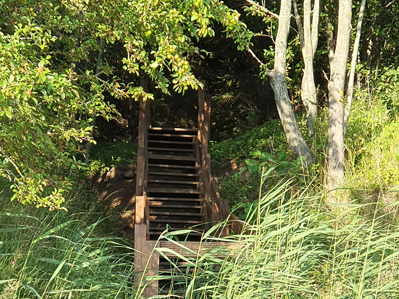 Tuja Strand am Golf von Riga