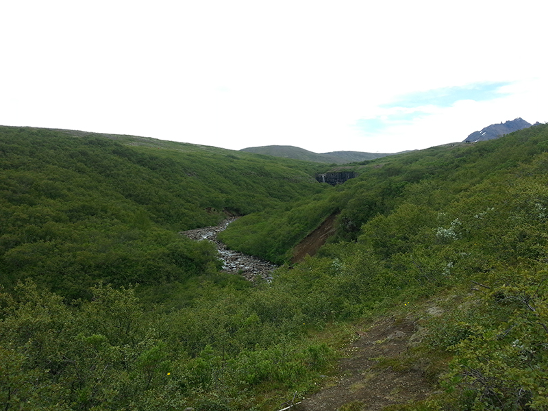 Unterwegs zum Svartifoss